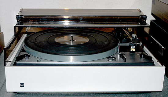 Datei:1229 CS40 duskyshark 2006.jpg