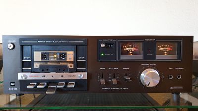 Elko 61, 2021 (braun)