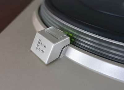 Schlippo, 2023 (grün beleuchtetes Stroboskop)